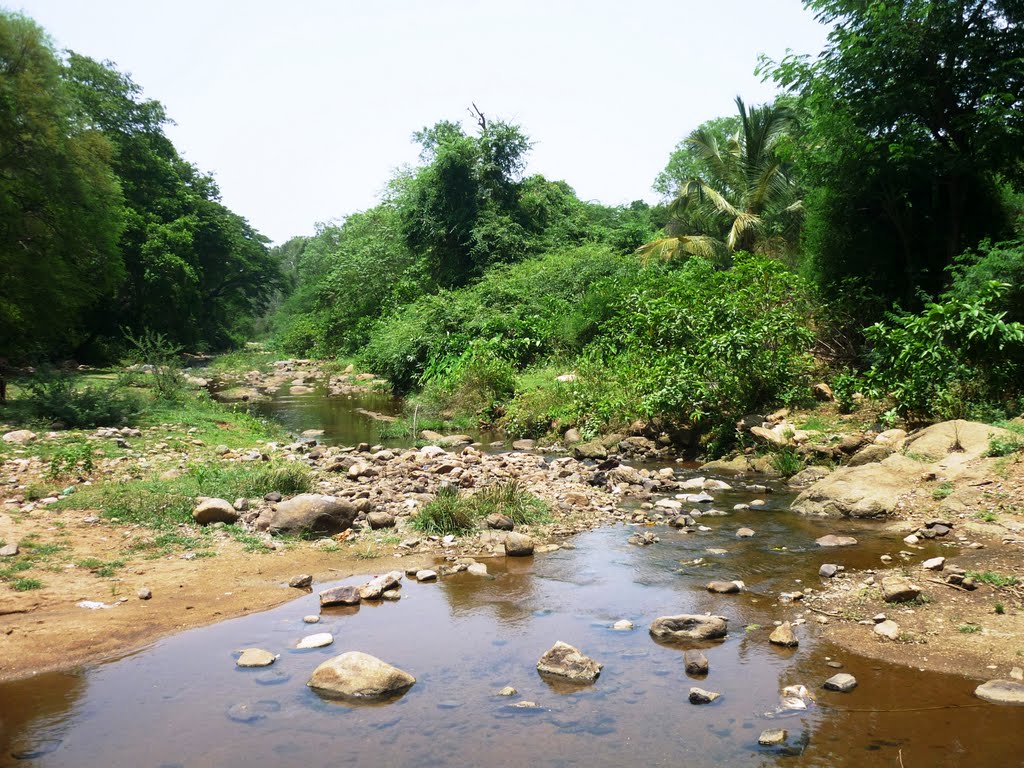Amirthi Zoological Park