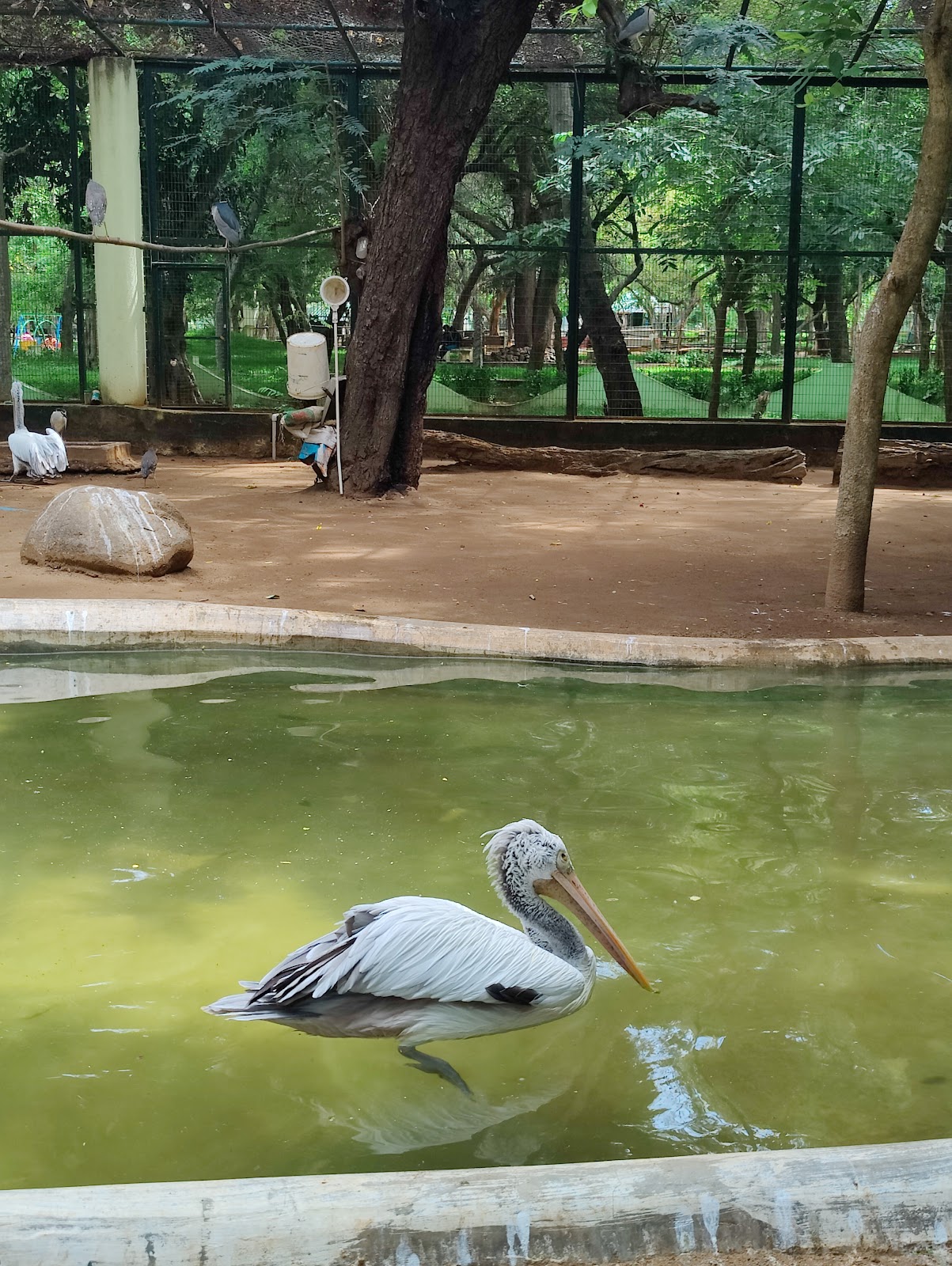 Amirthi Zoological Park