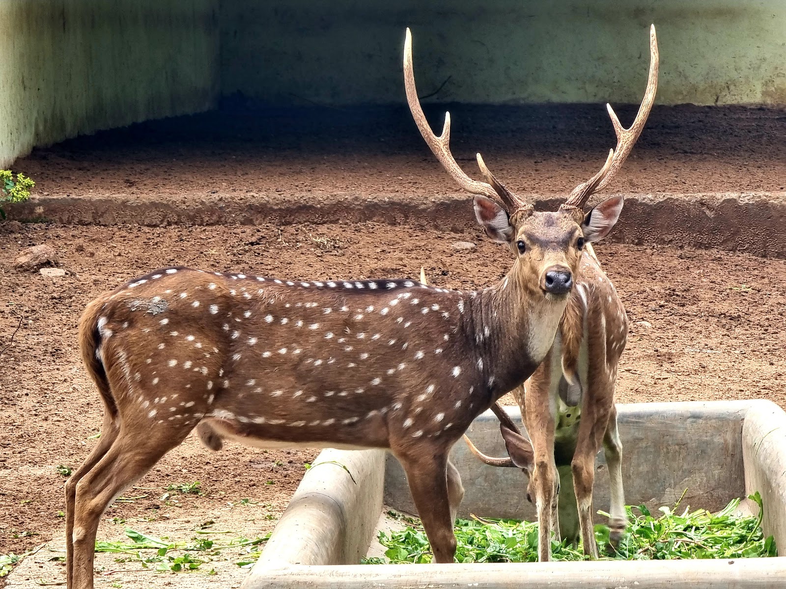 Amirthi Zoological Park