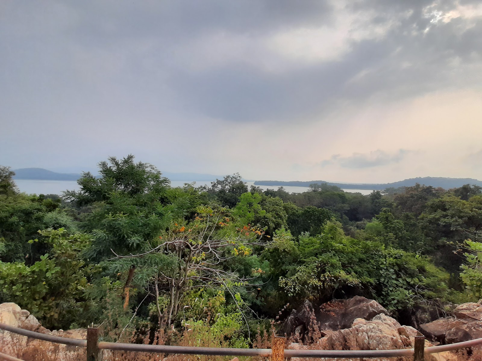 Navegaon National Park