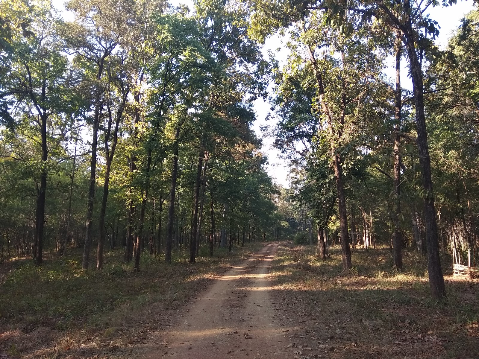 Navegaon National Park