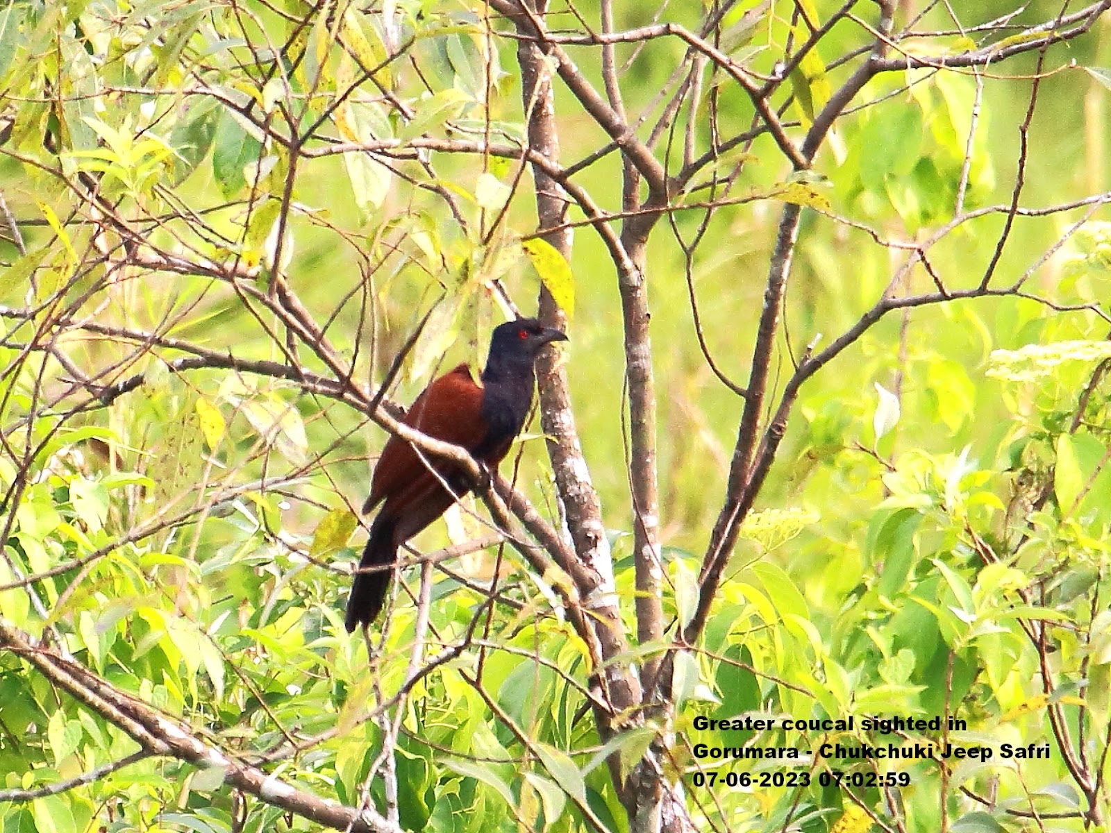 Chukchuki Watch Tower