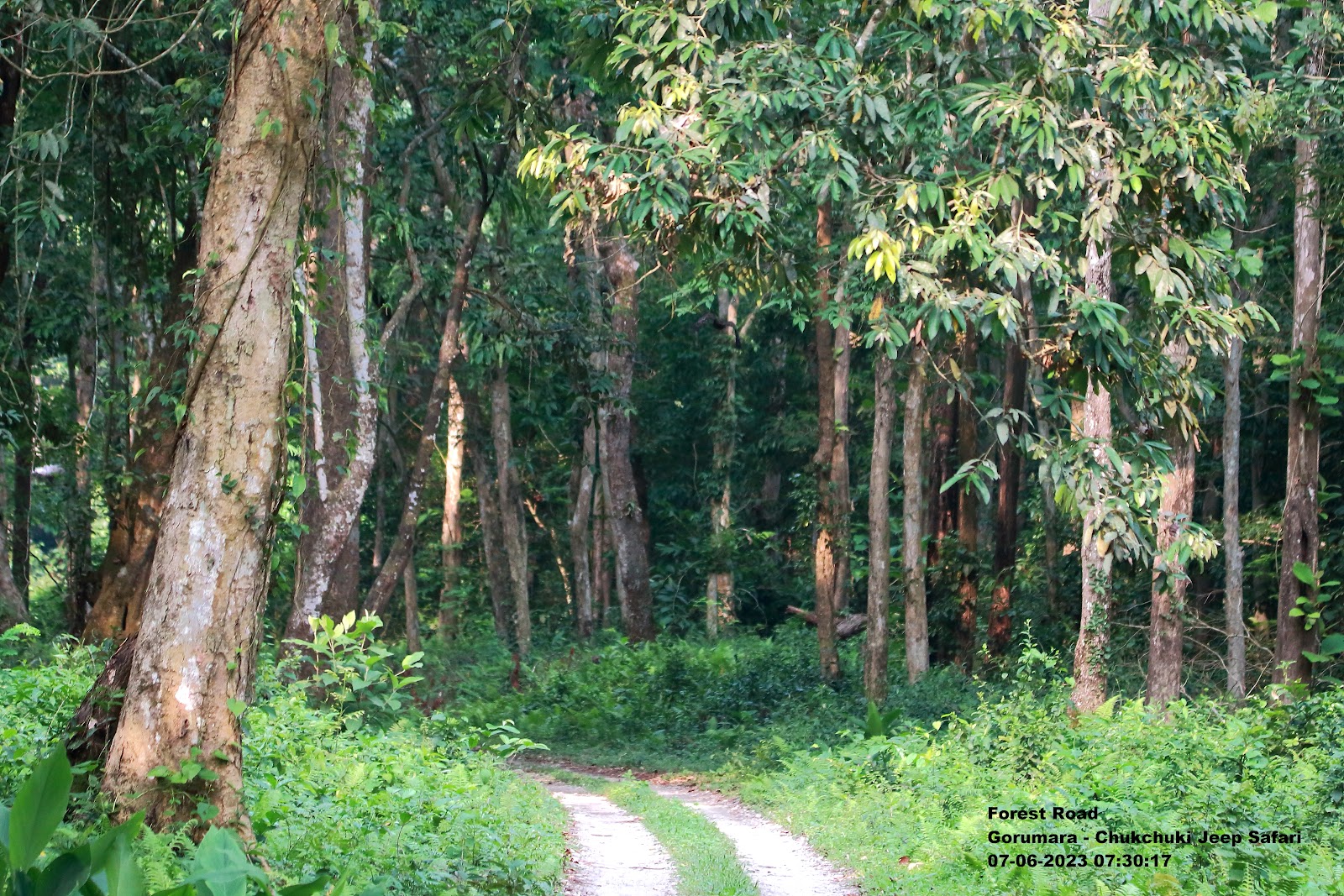 Chukchuki Watch Tower