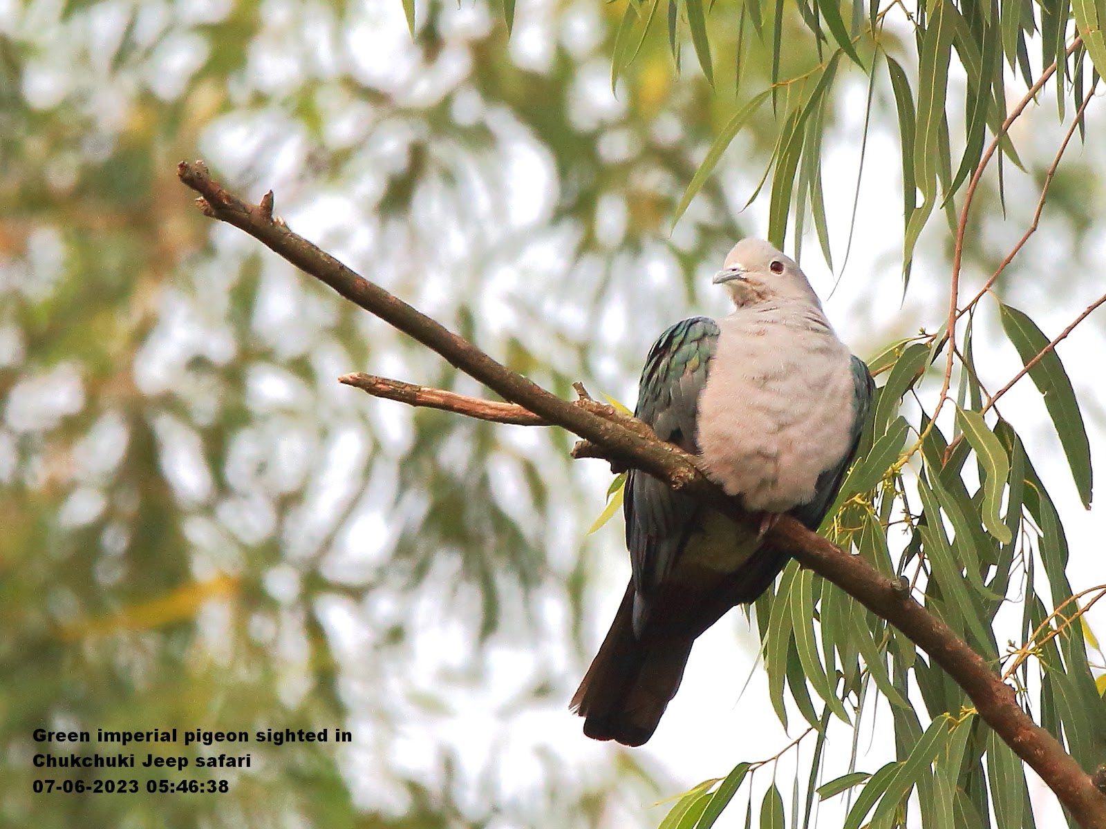 Chukchuki Watch Tower