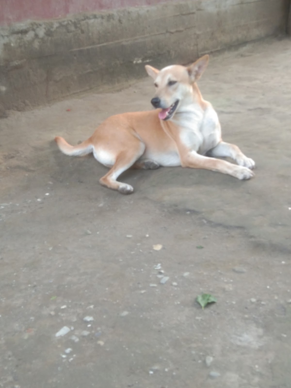 Chukchuki Watch Tower