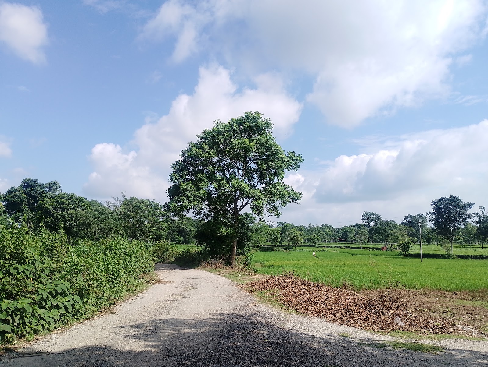 Chukchuki Watch Tower