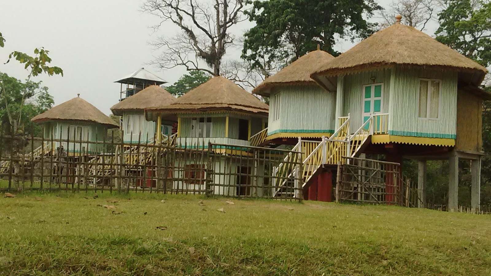 Gorumara Eco Village