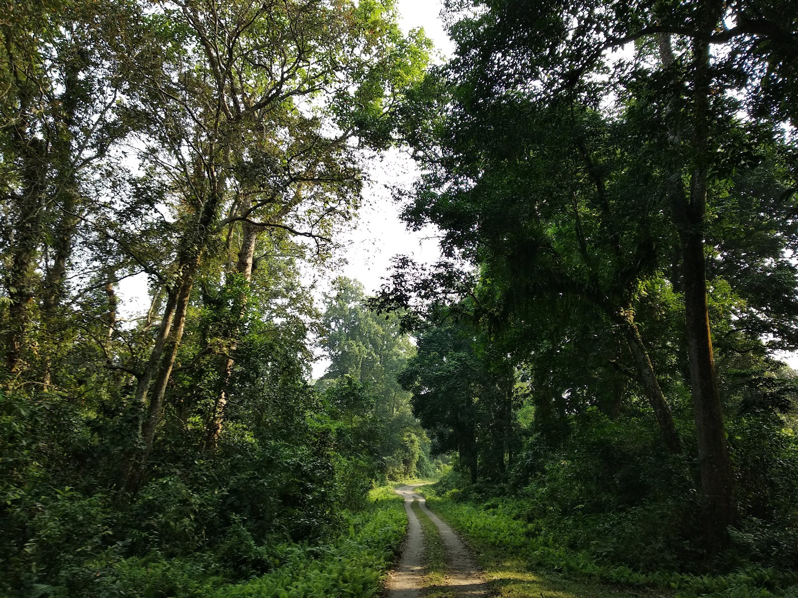 Jorpokhri Wildlife Sanctuary