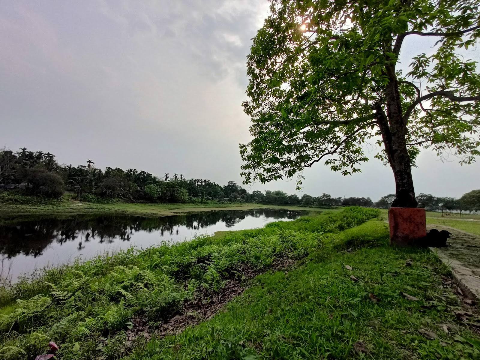 Gossaigaon Park