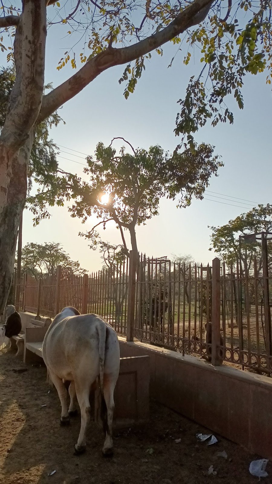 Govardhan Hill Parikrama Marg