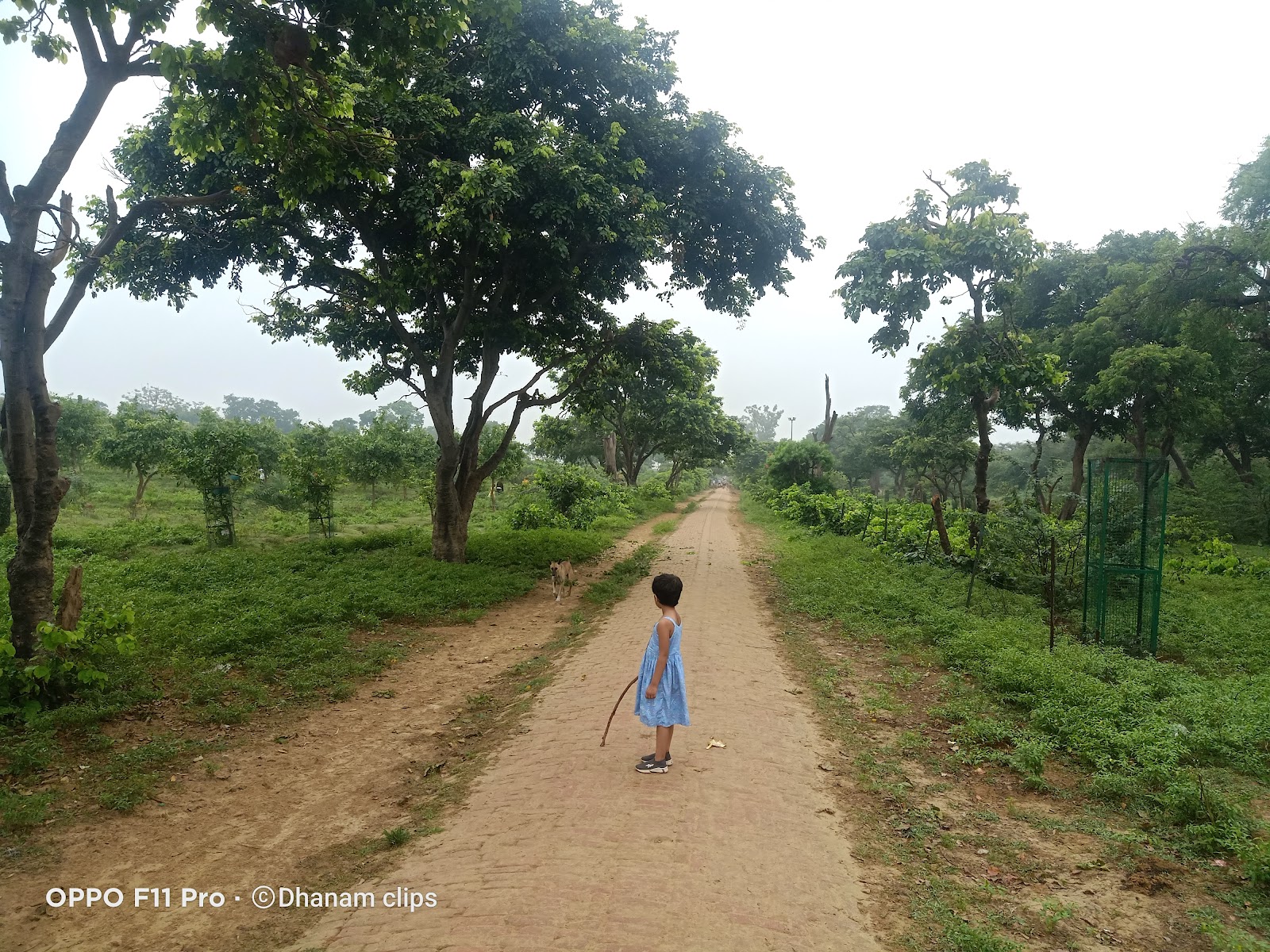 Govardhan Hill Parikrama Marg