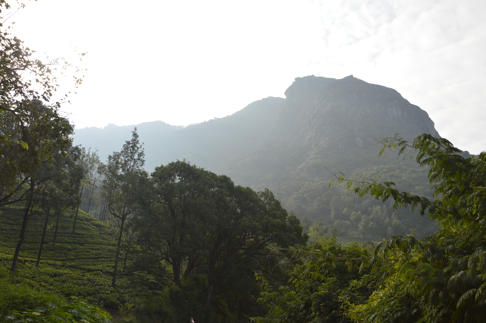 Frog Hill View Point