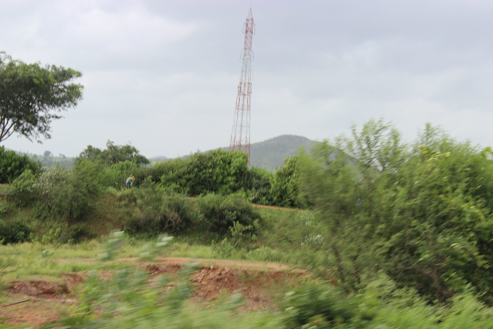 Frog Hill View Point