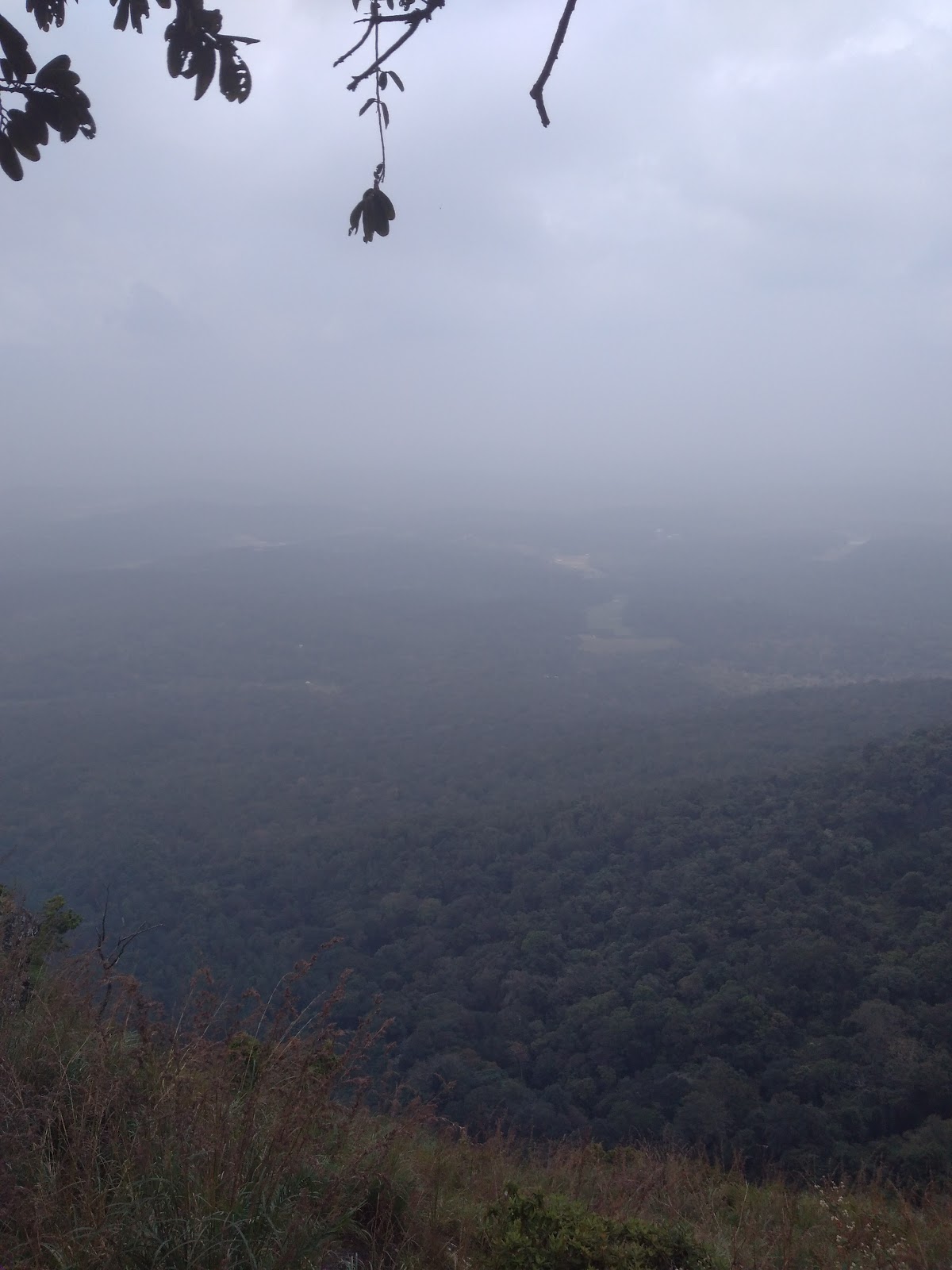 Frog Hill View Point