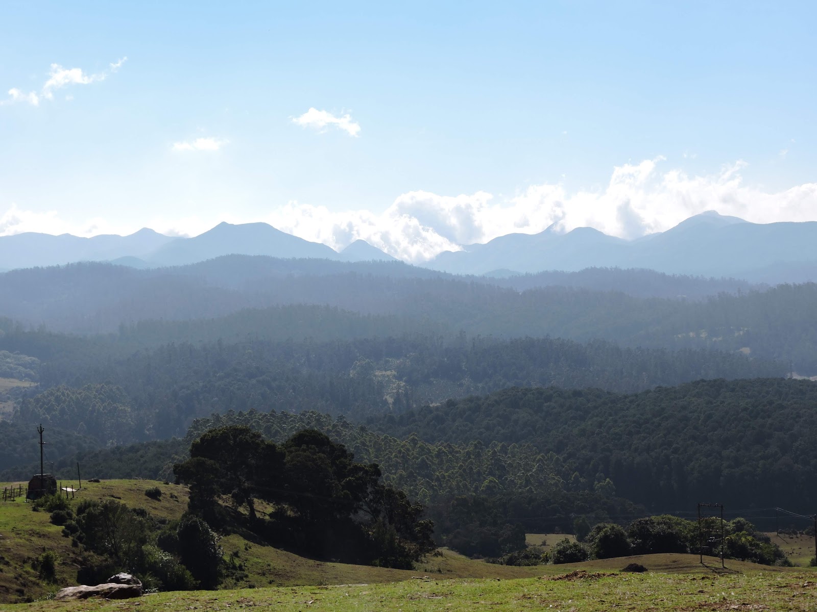 Frog Hill View Point