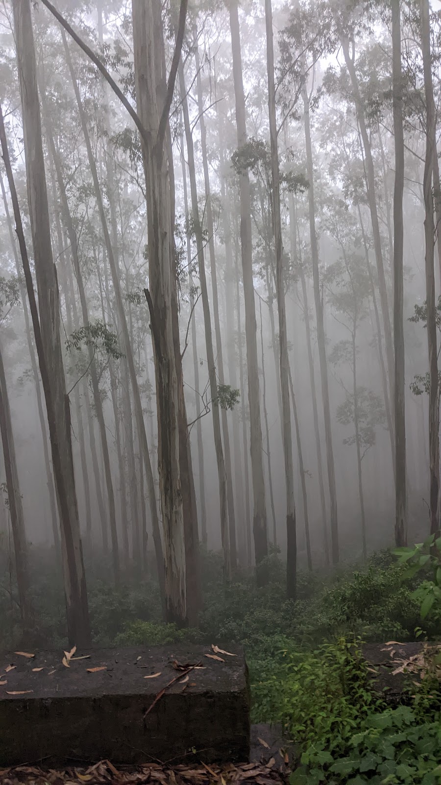 Frog Hill View Point