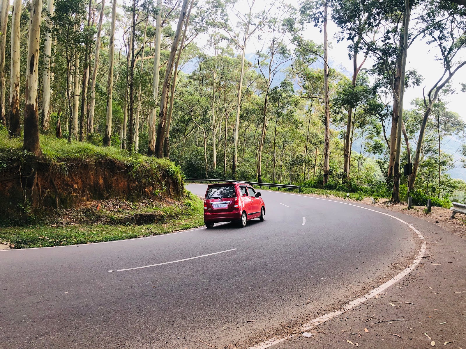 Needle Rock View Point