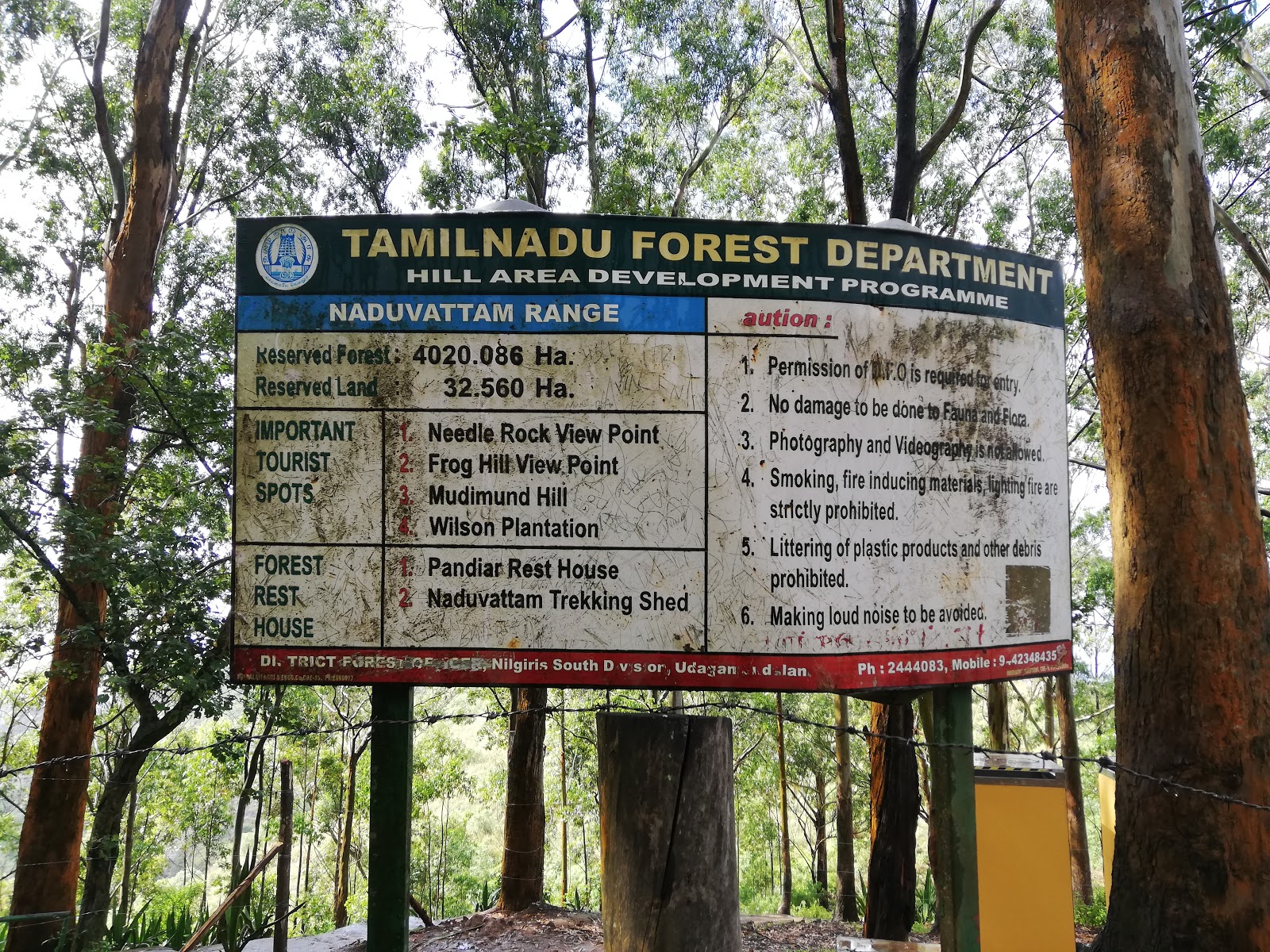 Needle Rock View Point