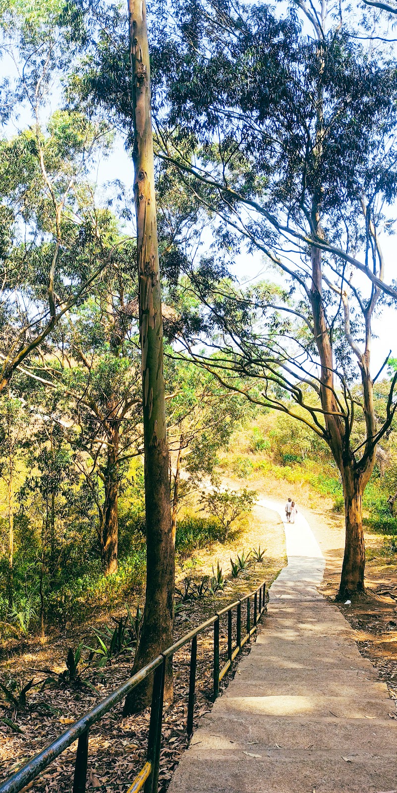 Sixth Mile View Point