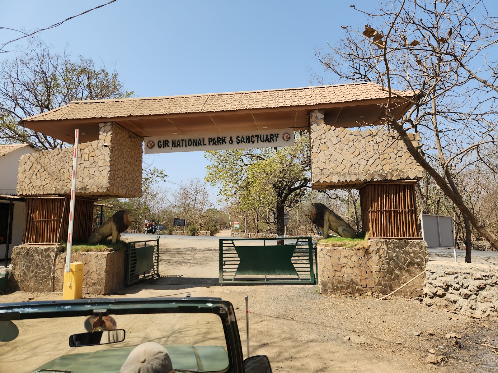 Gir National Park