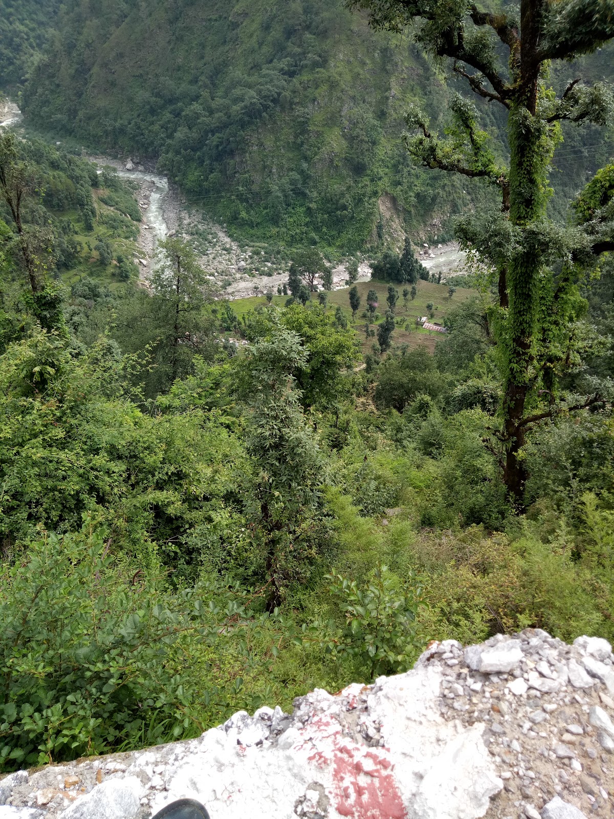 Kashi Vishwanath Temple