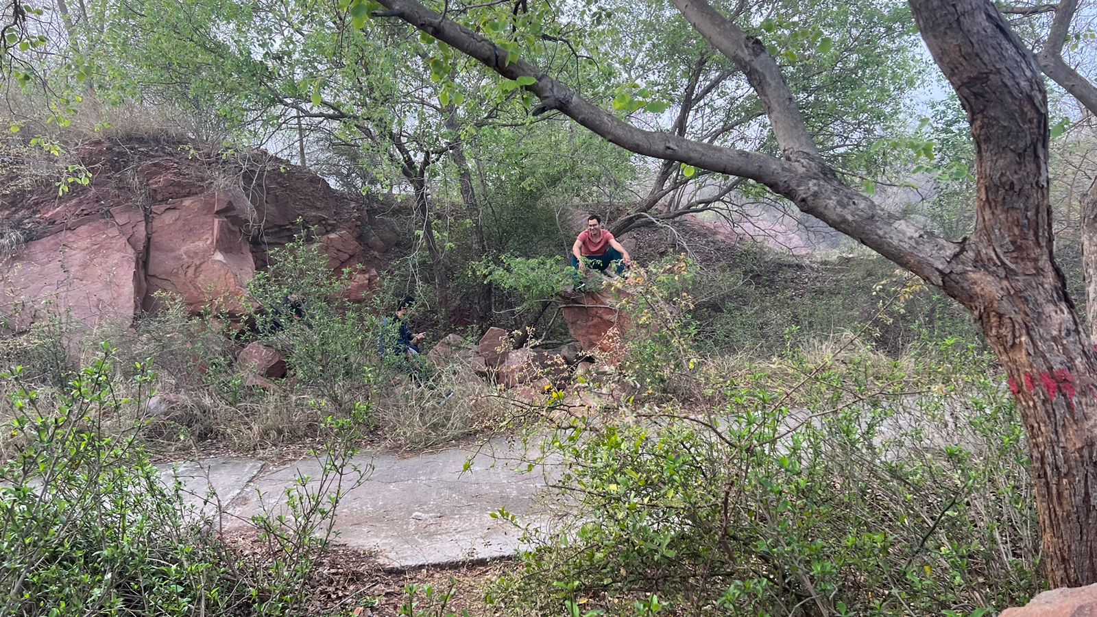 Aravalli Biodiversity Park
