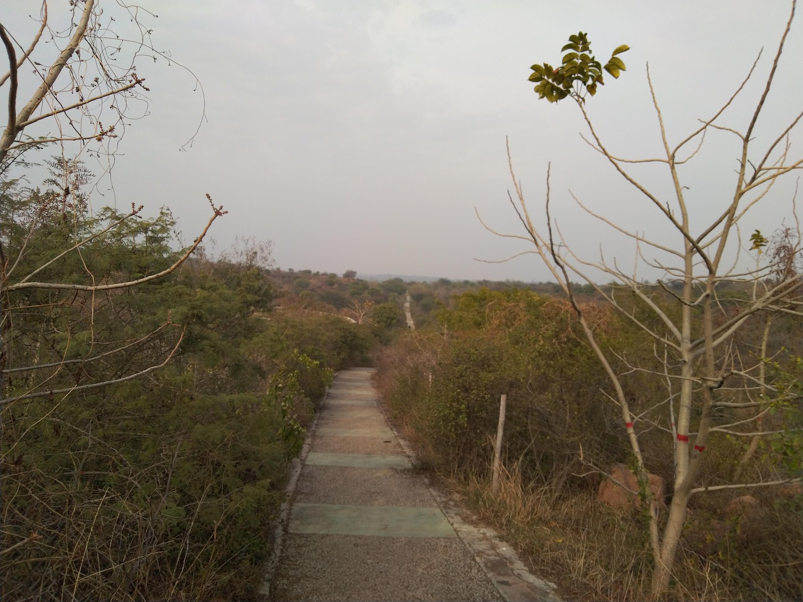 Aravalli Biodiversity Park