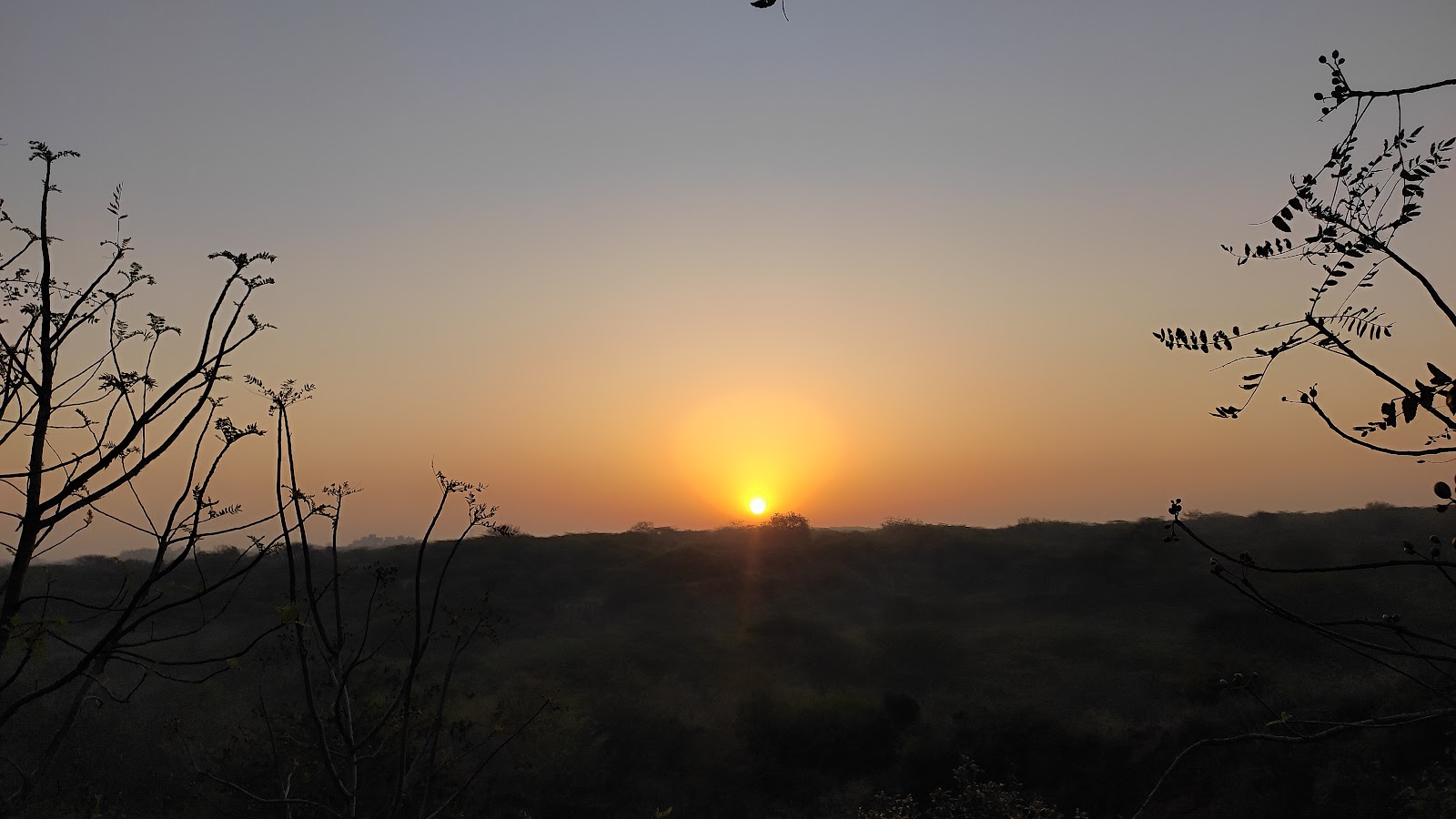 Aravalli Biodiversity Park