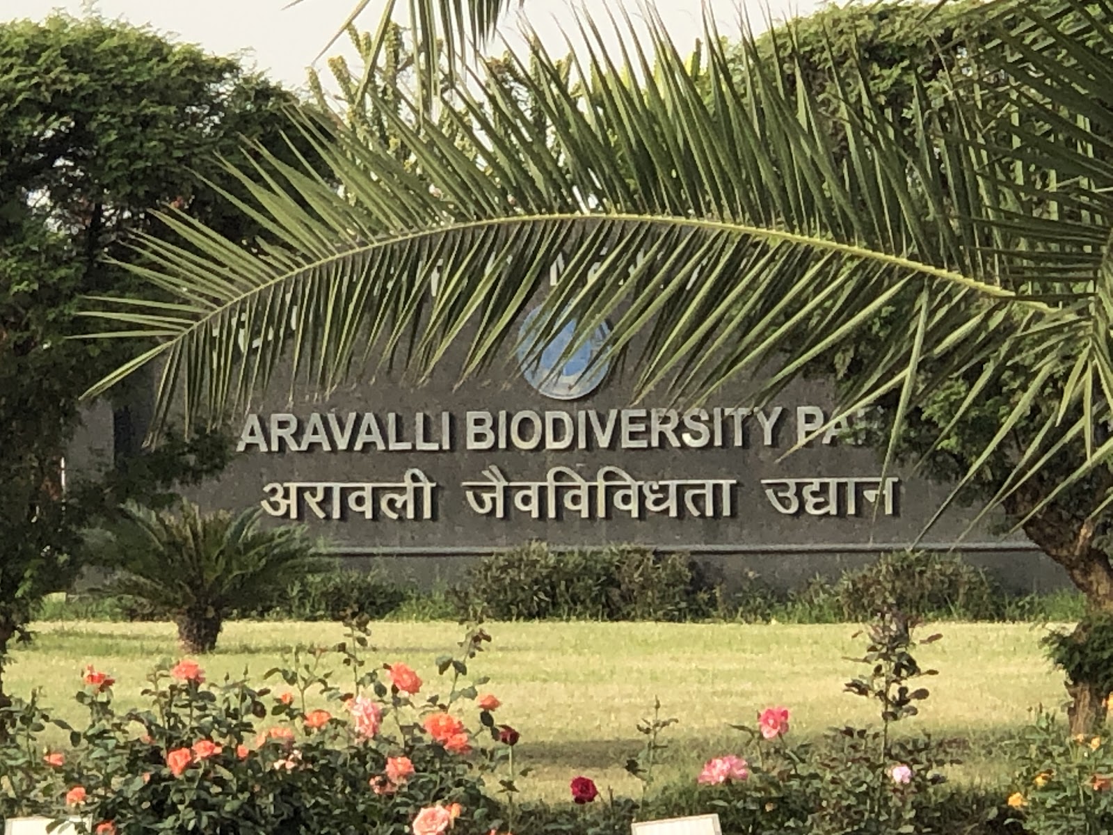 Aravalli Biodiversity Park