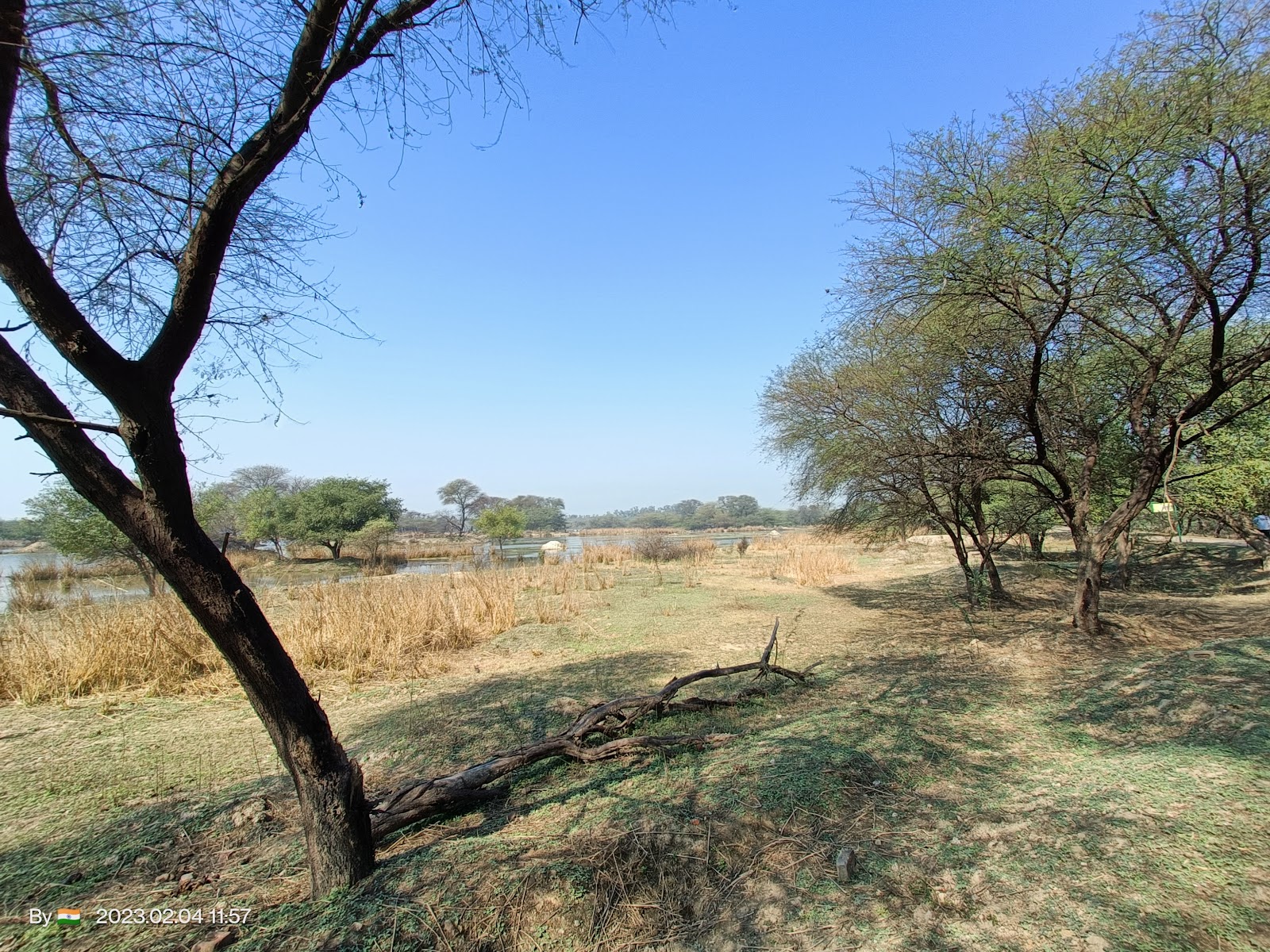 Sultanpur National Park
