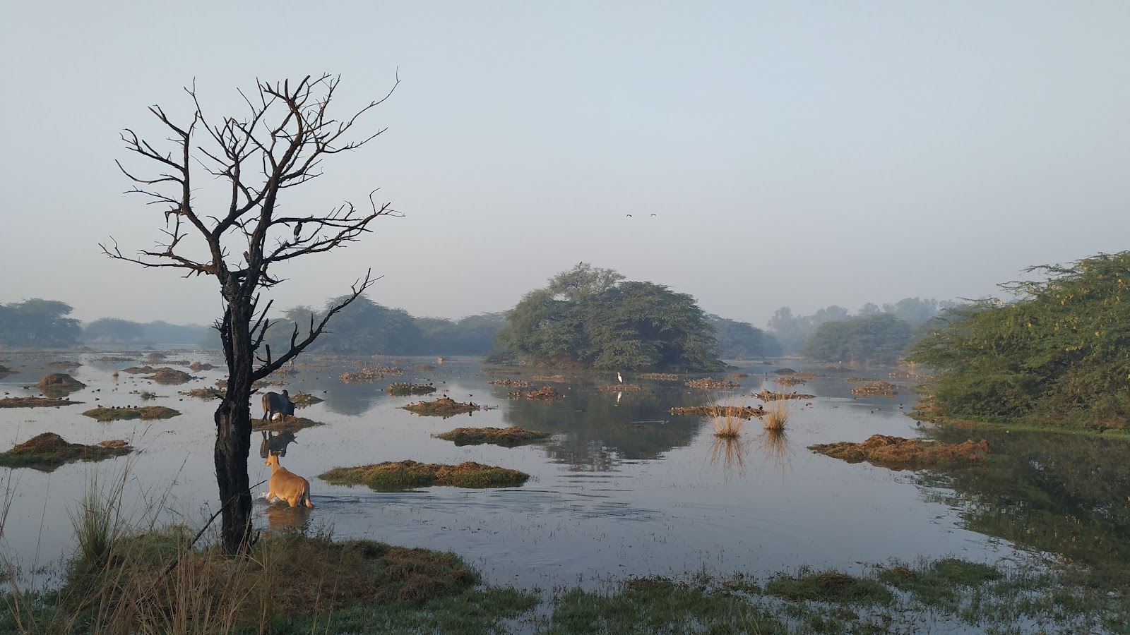 Sultanpur National Park
