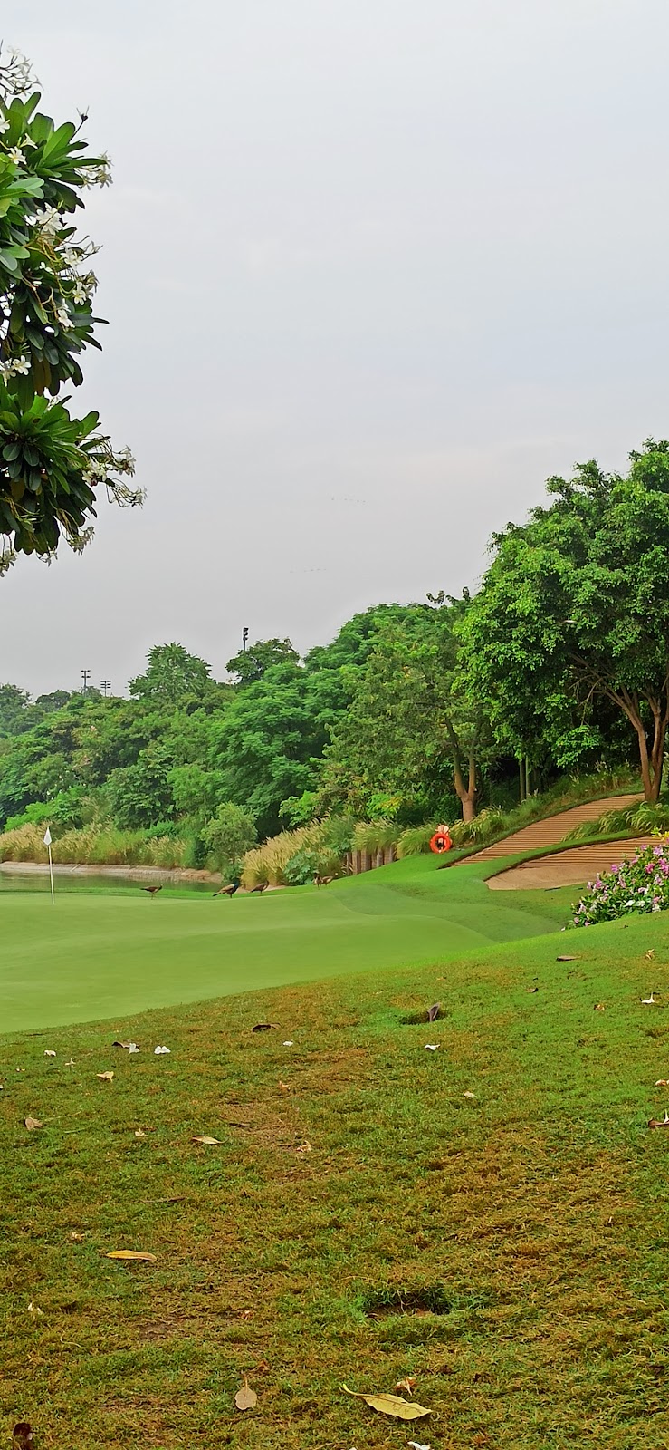 DLF Golf Course