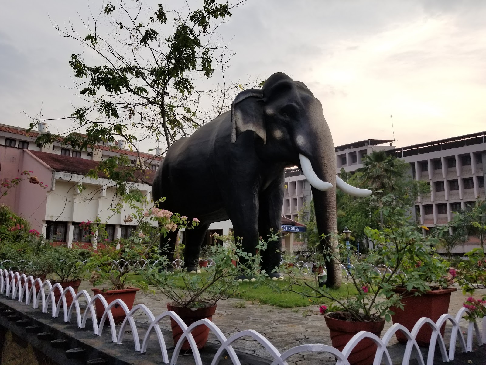 Guruvayur Sri Krishna Temple