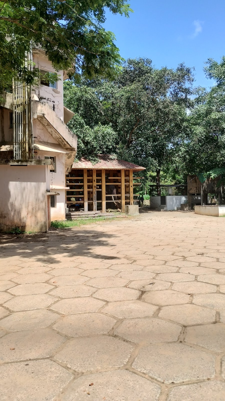 Punnathur Kotta Elephant Sanctuary