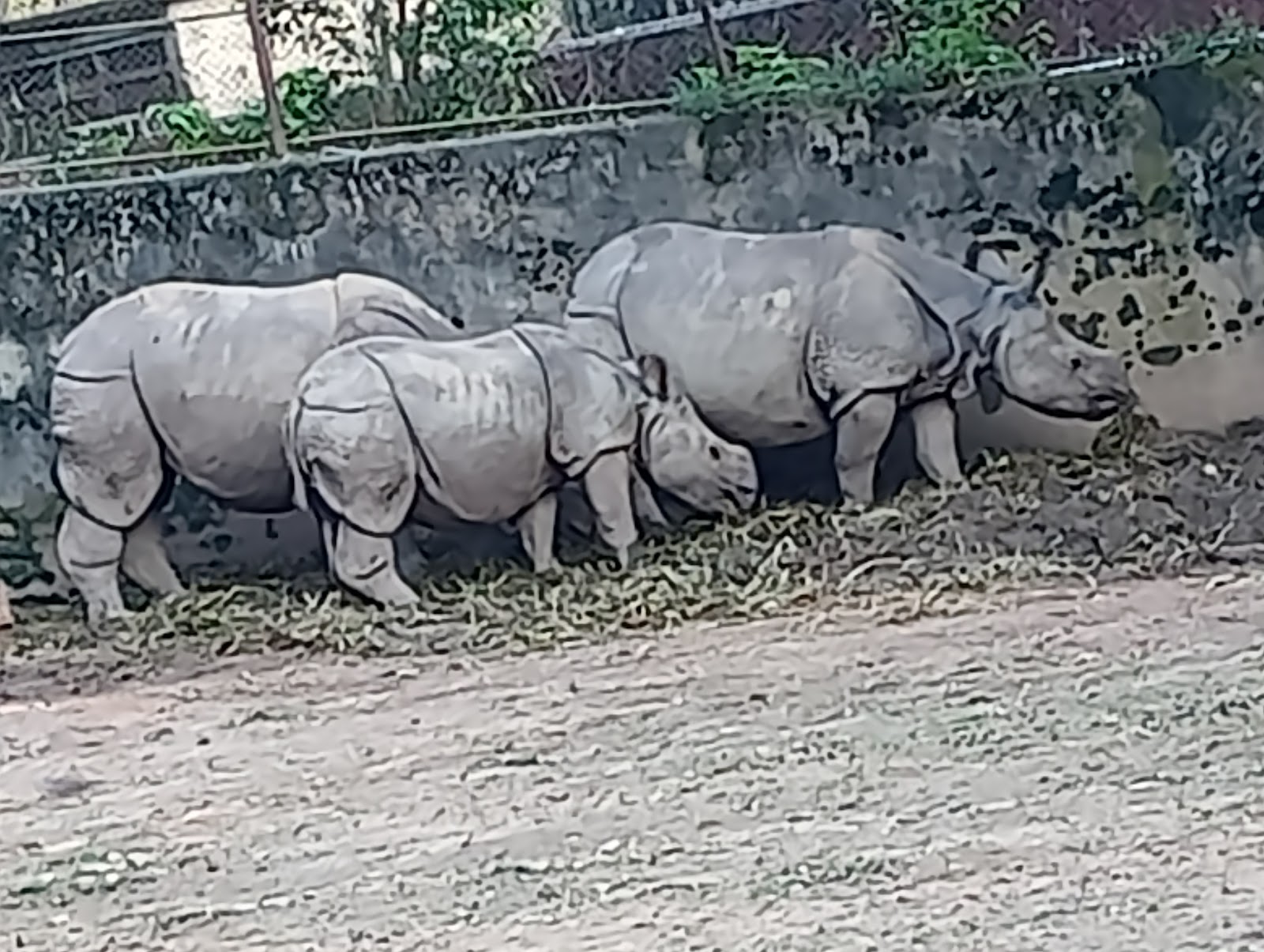 Guwahati Zoo
