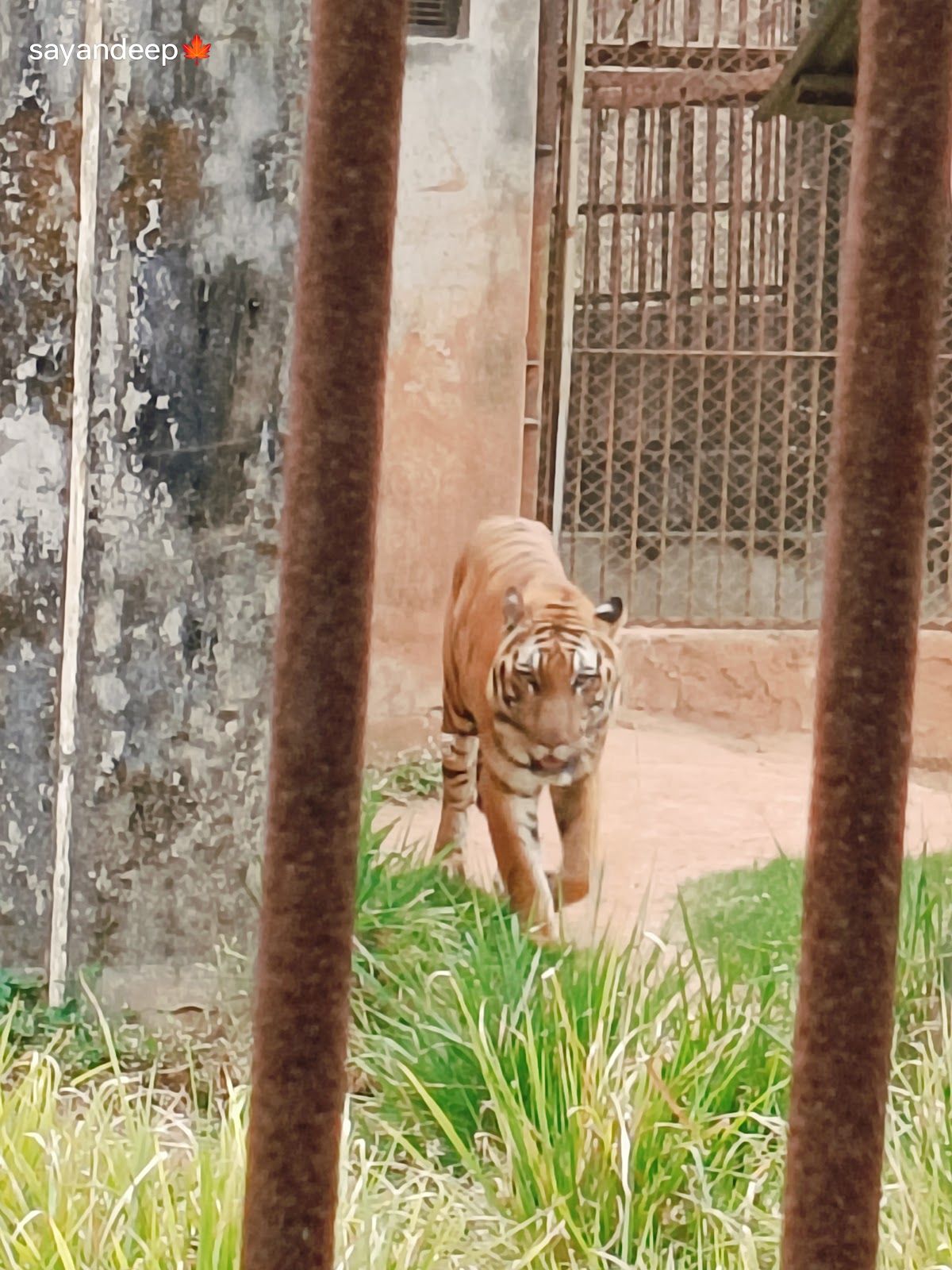 Guwahati Zoo