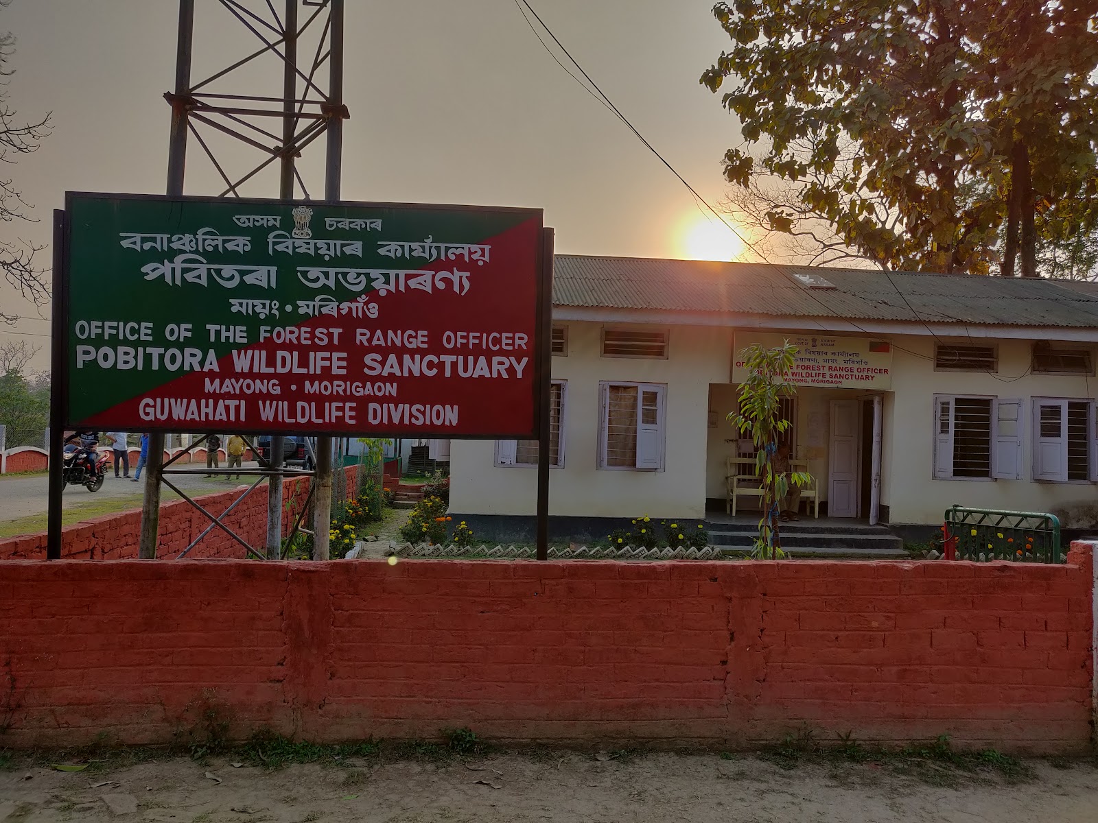 Pobitora Wildlife Sanctuary