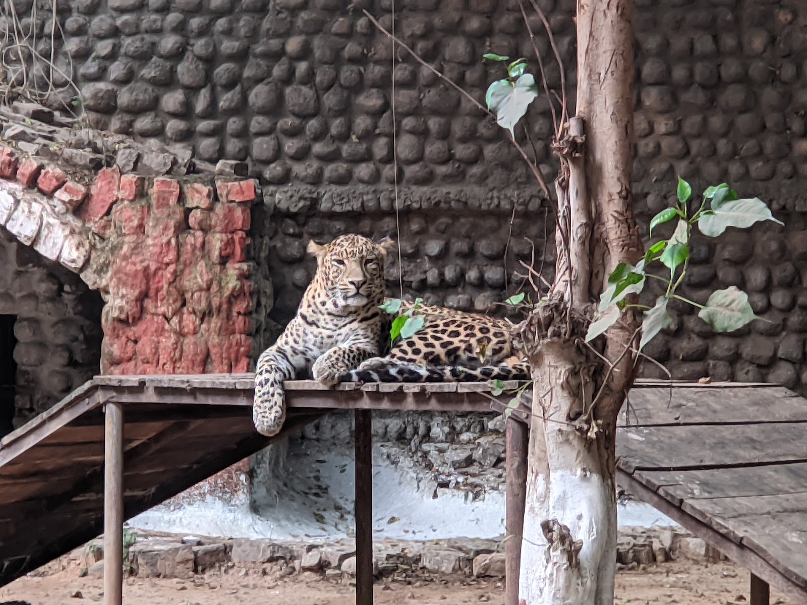 Gwalior Zoo