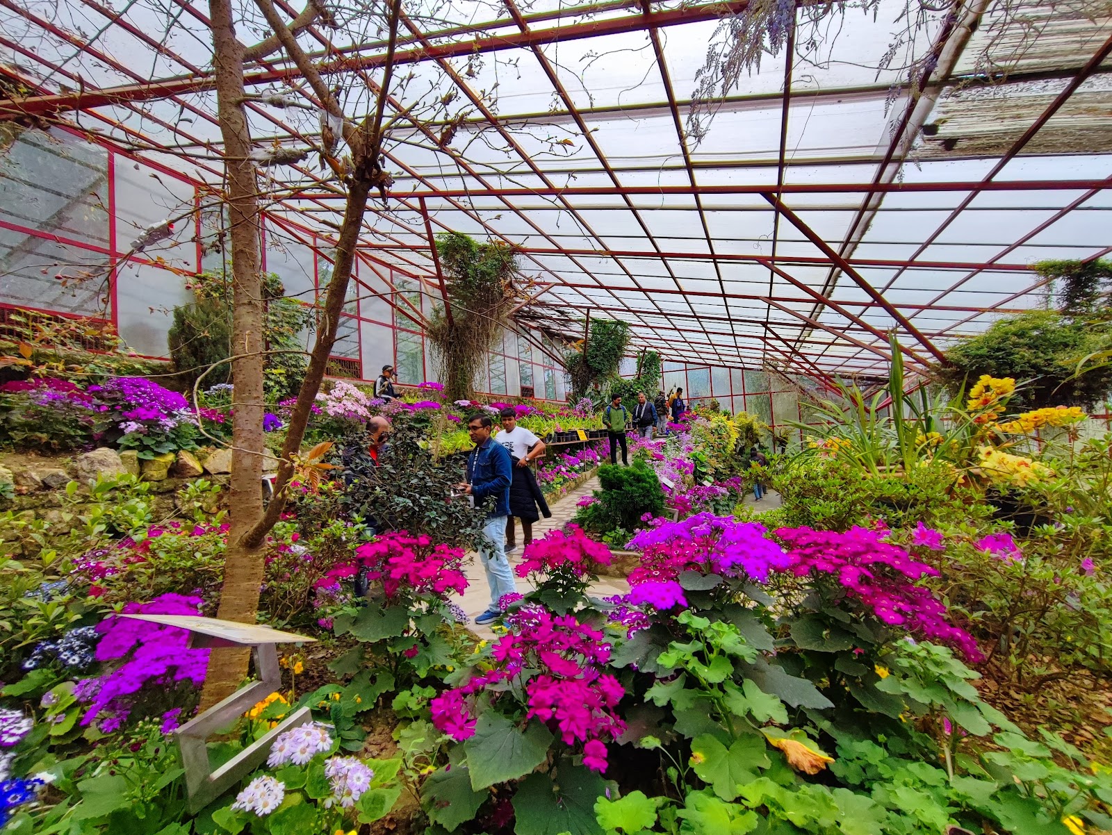 Sikkim Himalayan Zoological Park