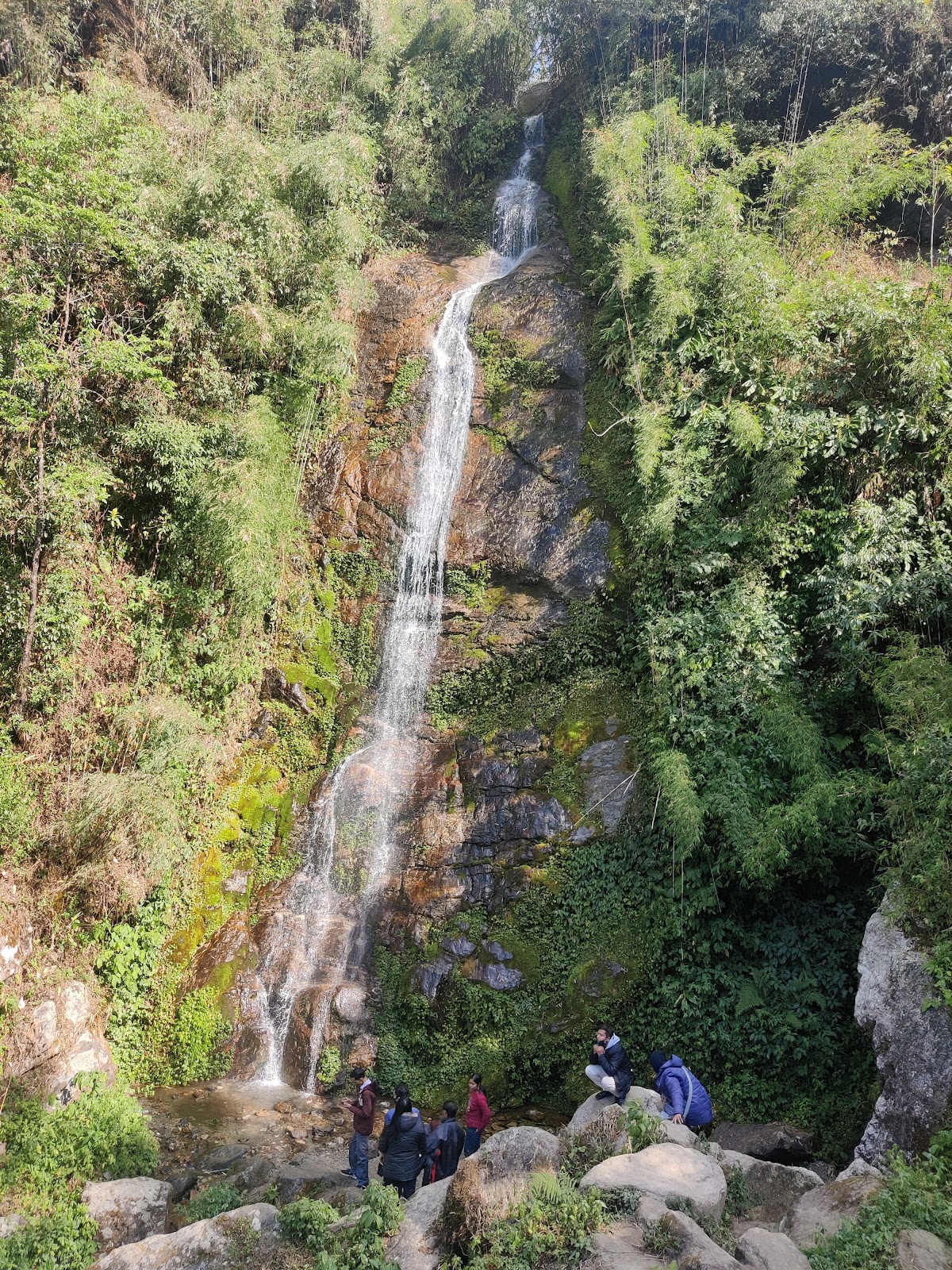 Sikkim Himalayan Zoological Park