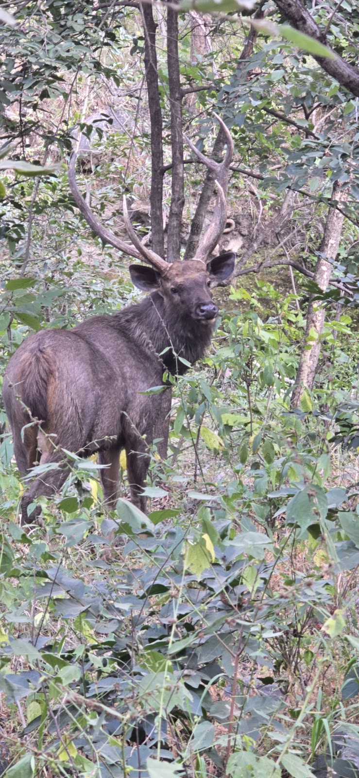 Kumbhalgarh Wildlife Sanctuary