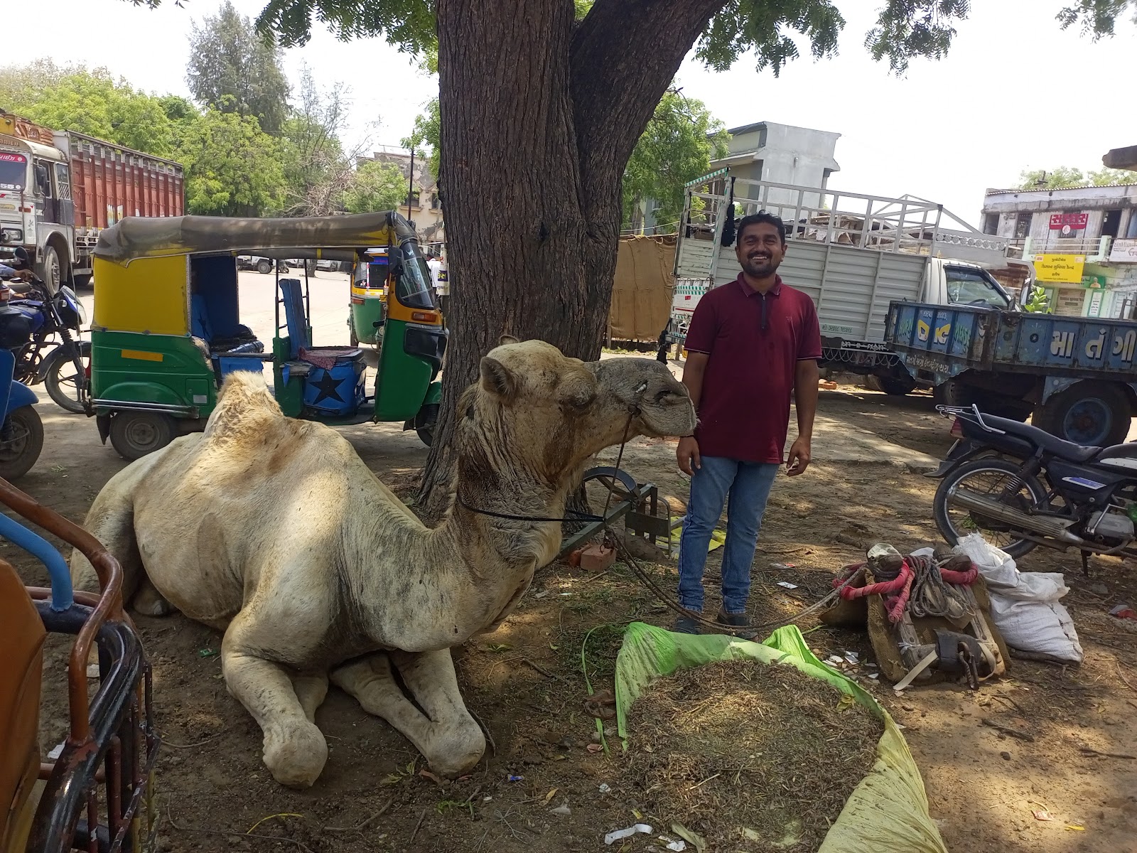Local Market of Harij