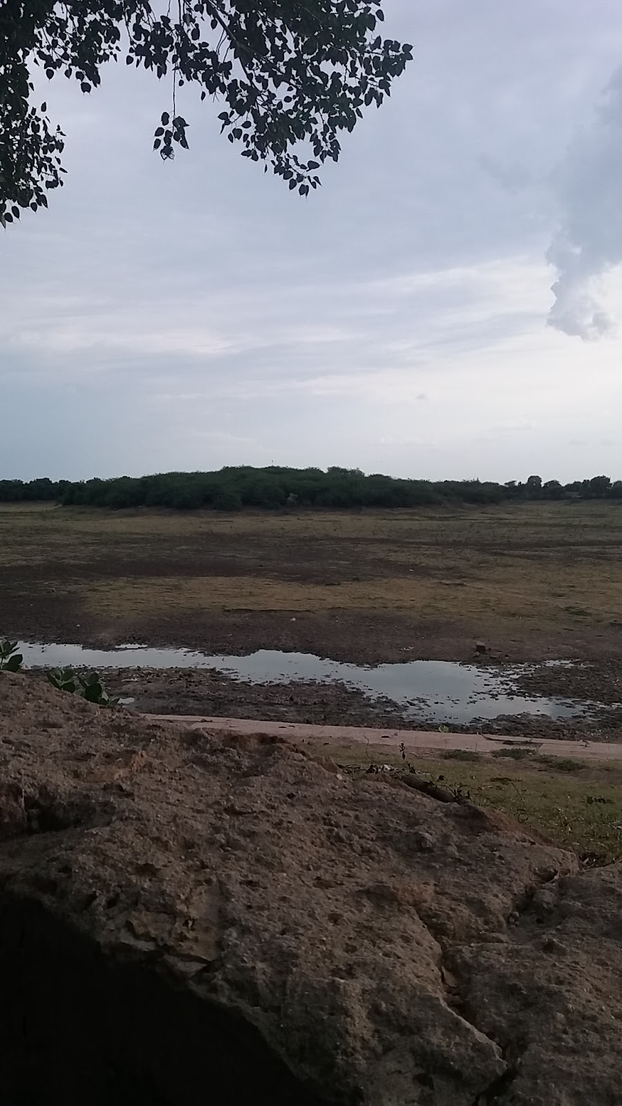 Village Walks Around Harij