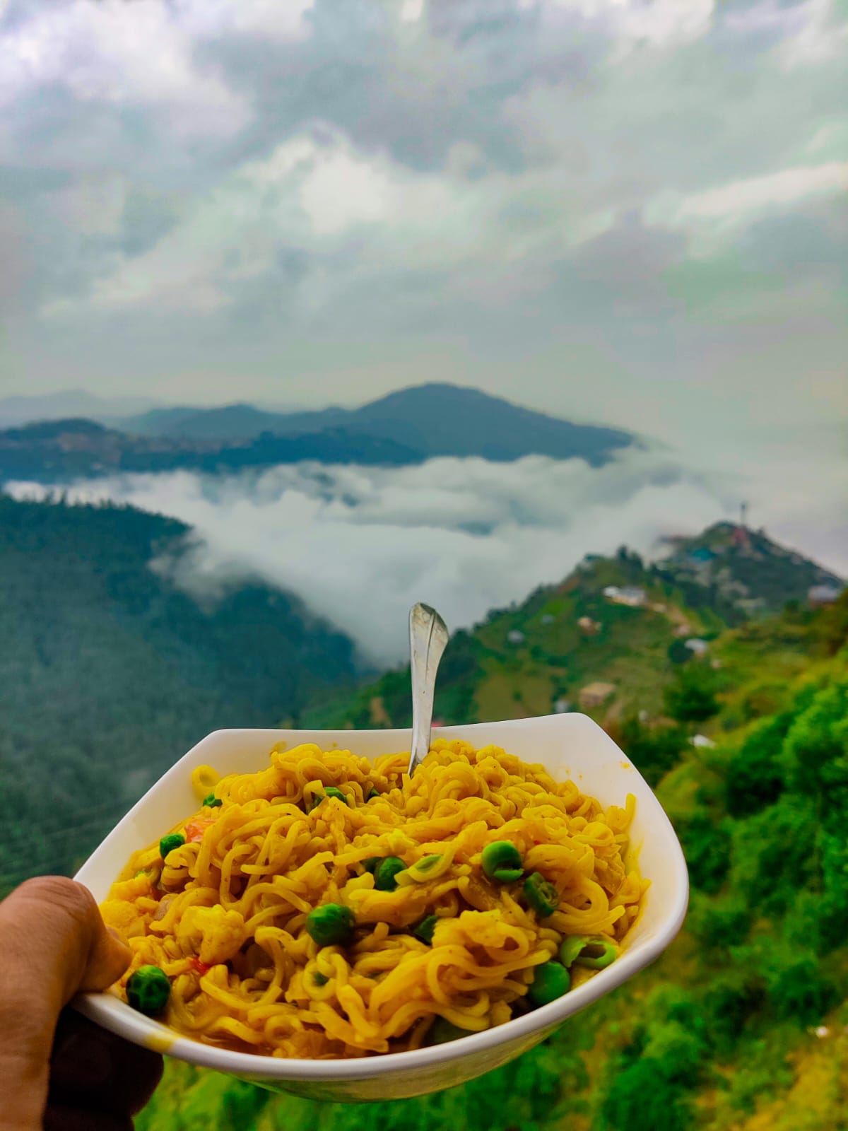 Local Apple Orchards