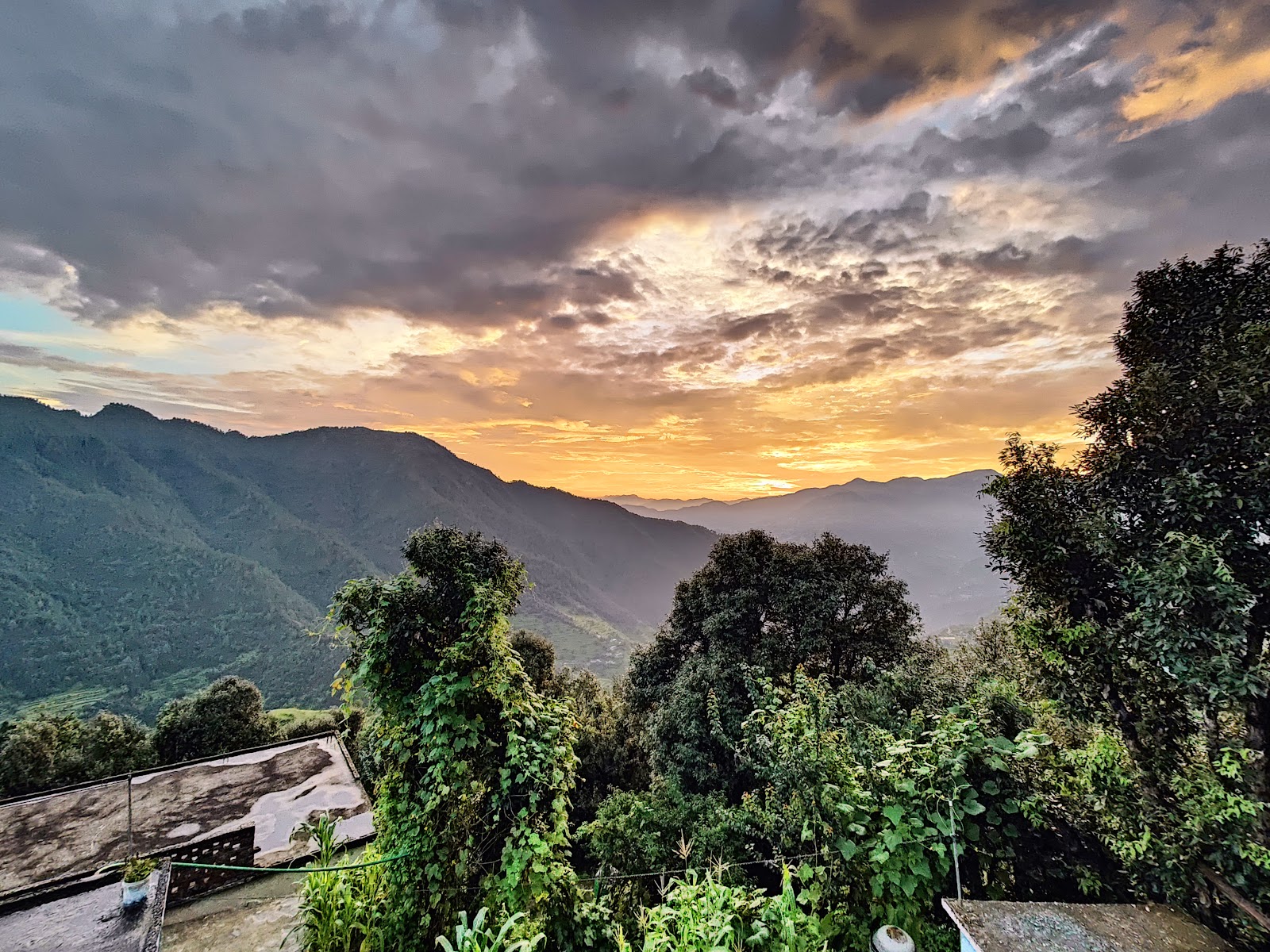 Harsil Apple Orchard