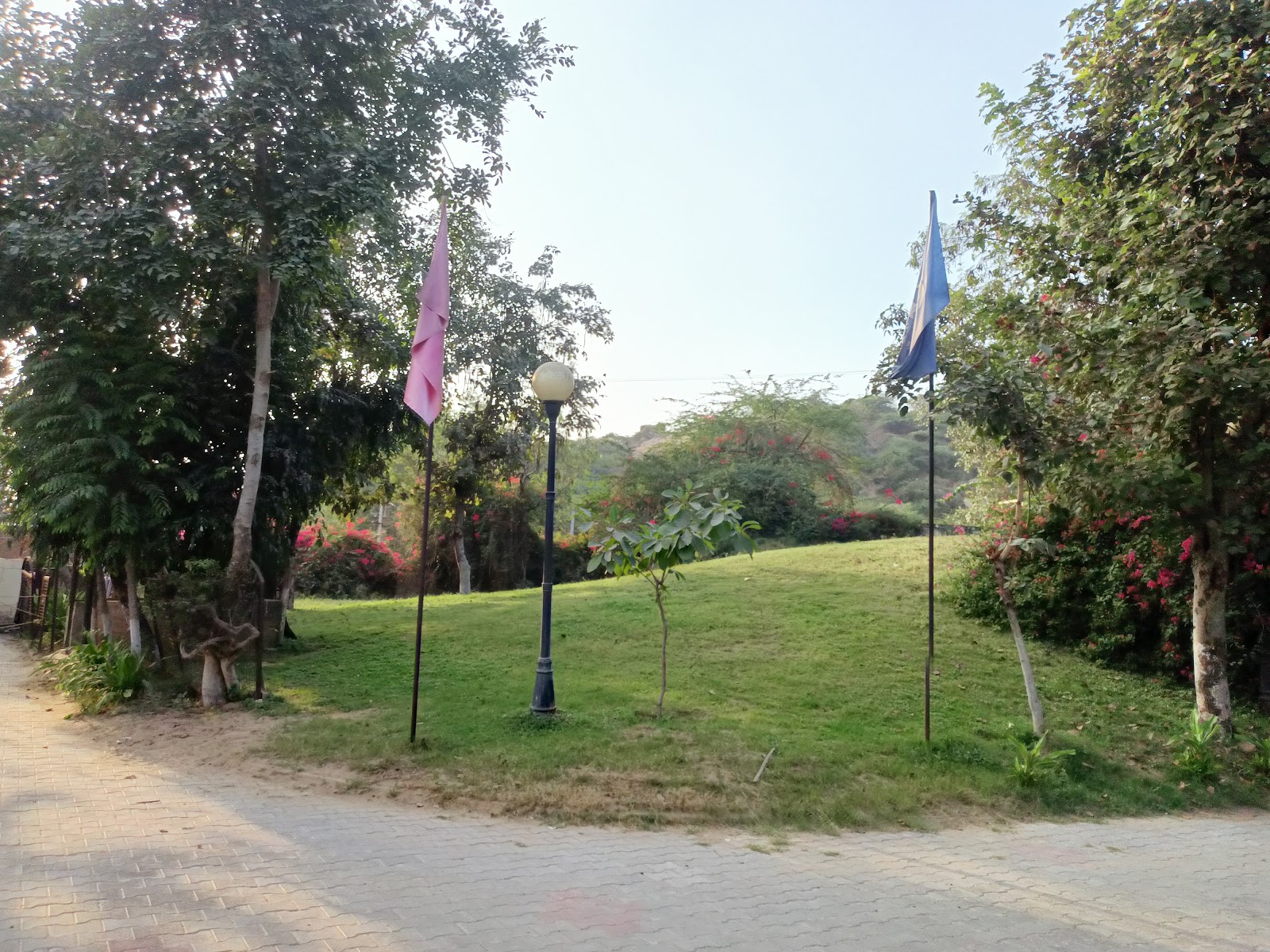Damdama Lake