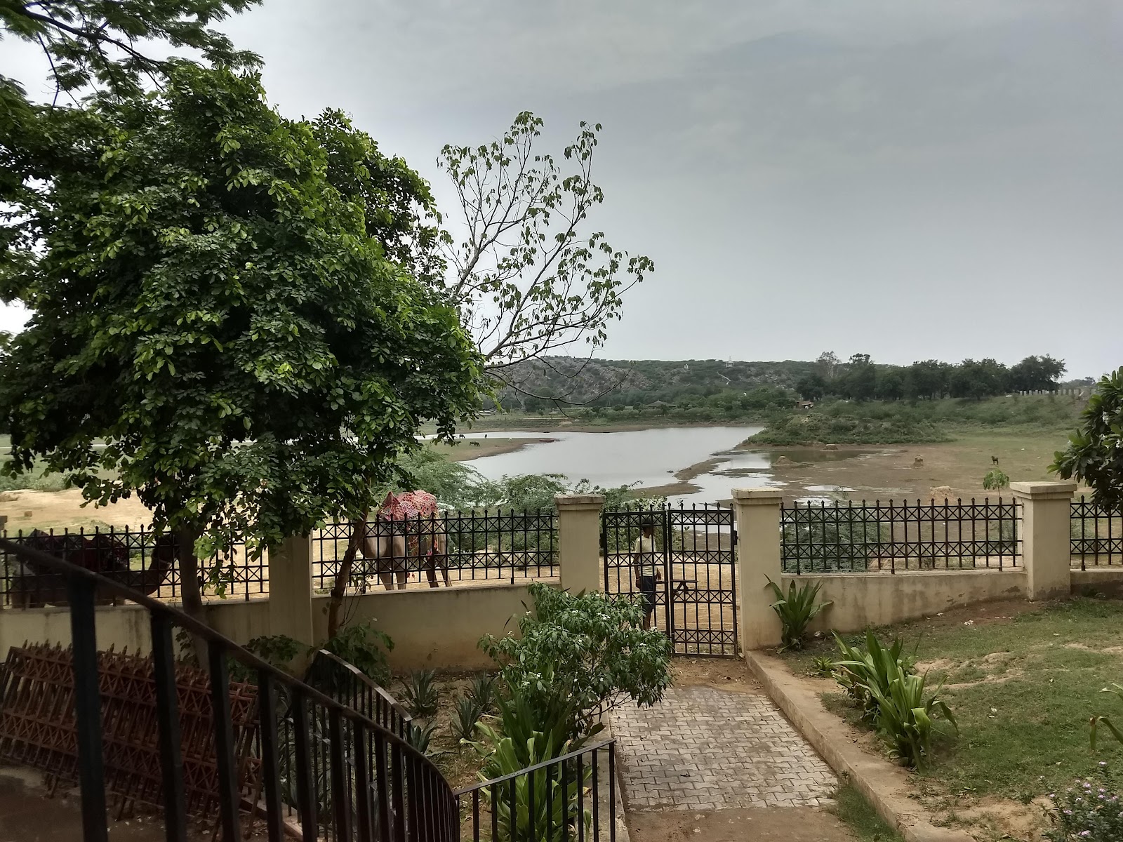 Damdama Lake