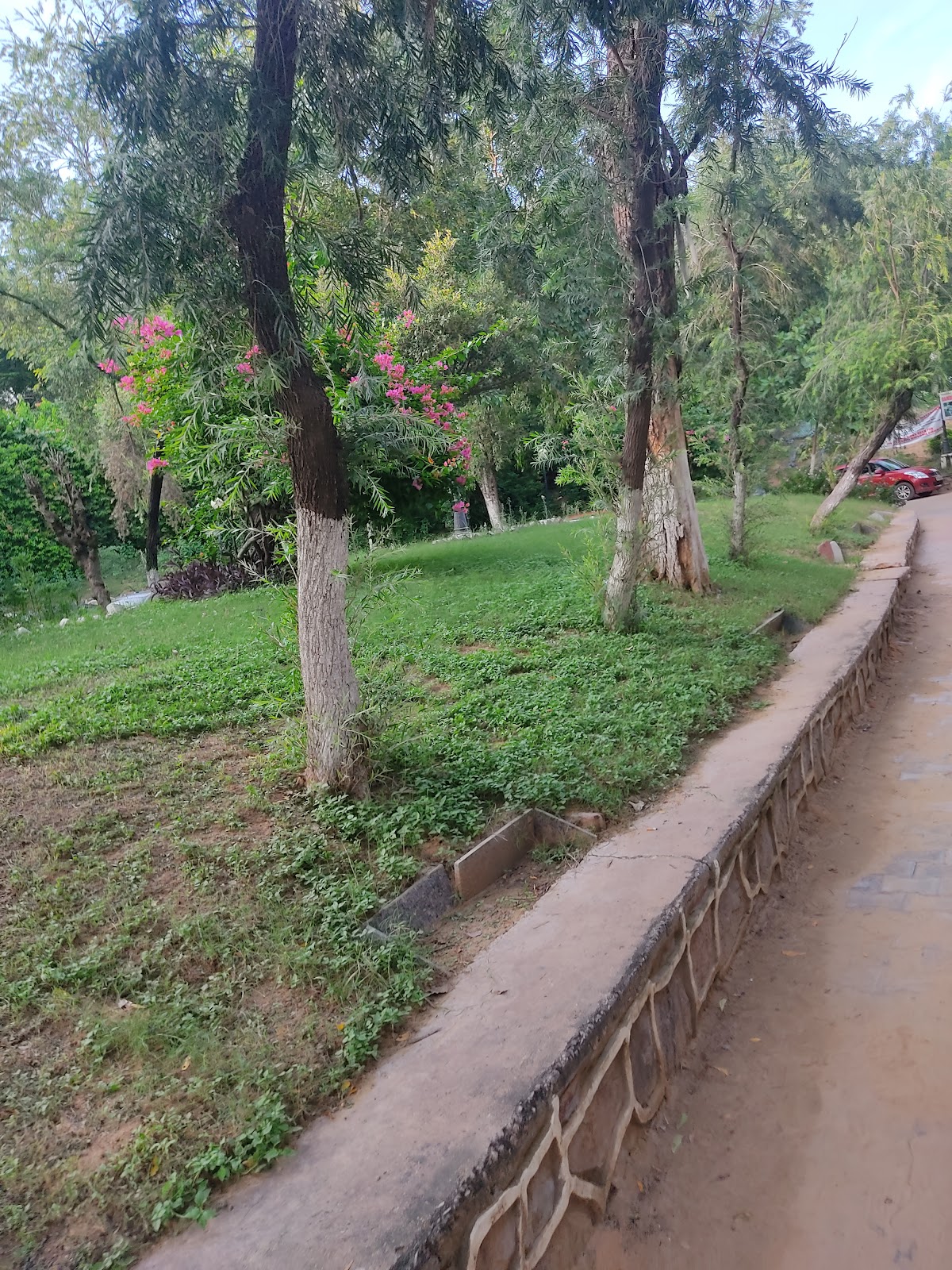 Damdama Lake