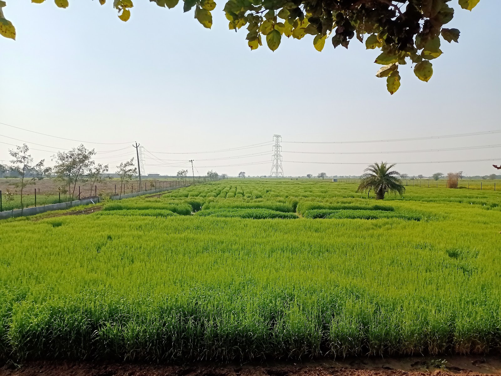 Farrukh Nagar Fort