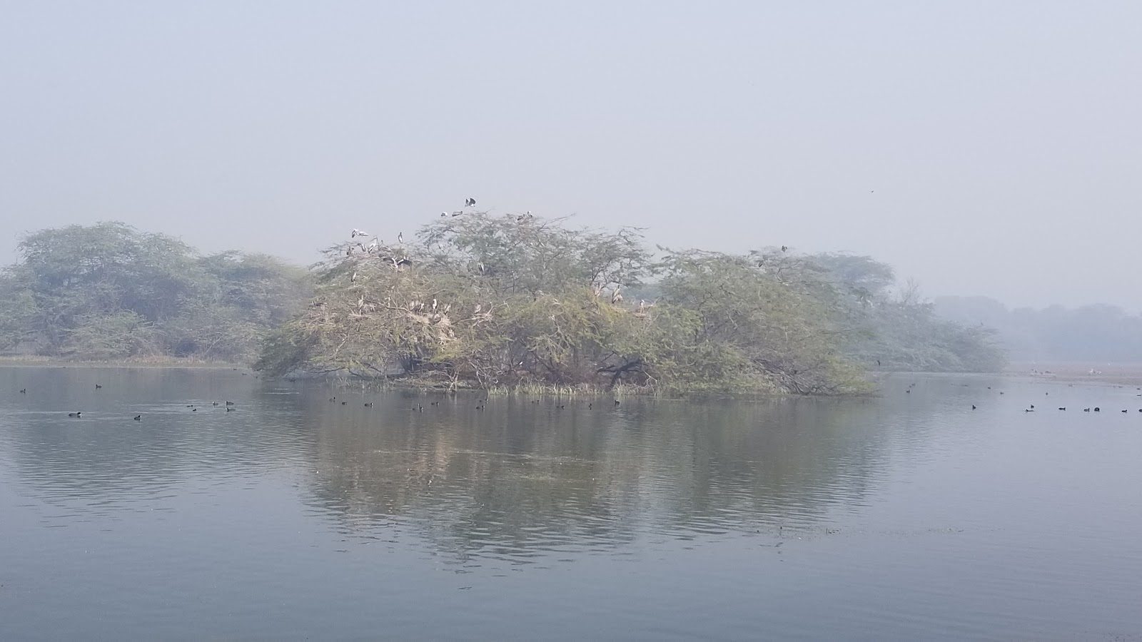 Sultanpur National Park